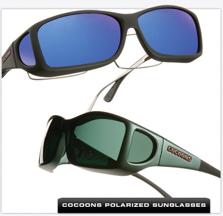 cocoon sunglasses